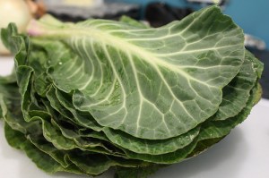 3440359444_7b55ecb6bf